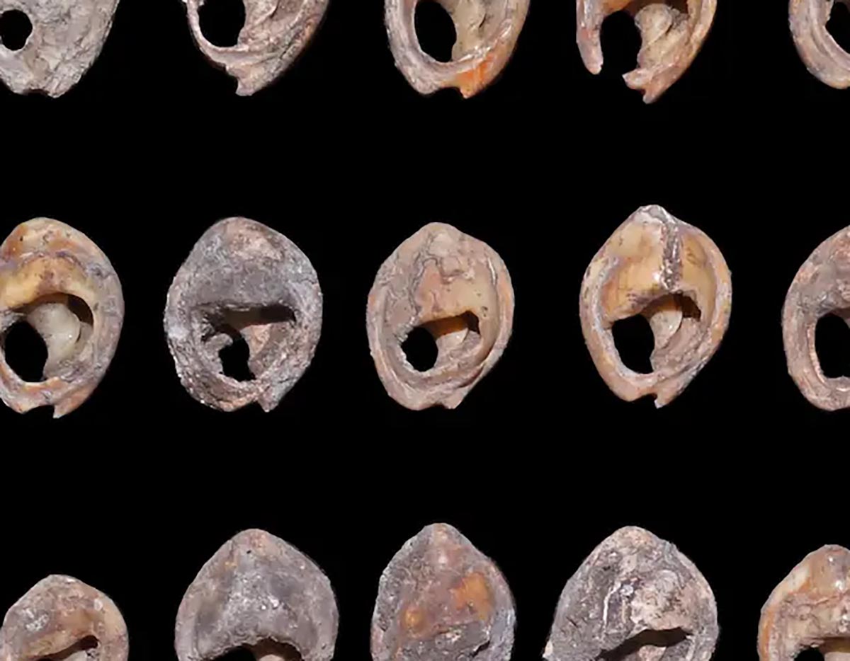 アンティークジュエリー・コラム 古代の装身具 1 世界最古の ルーヴルアンティーク アンティークジュエリー&オブジェ